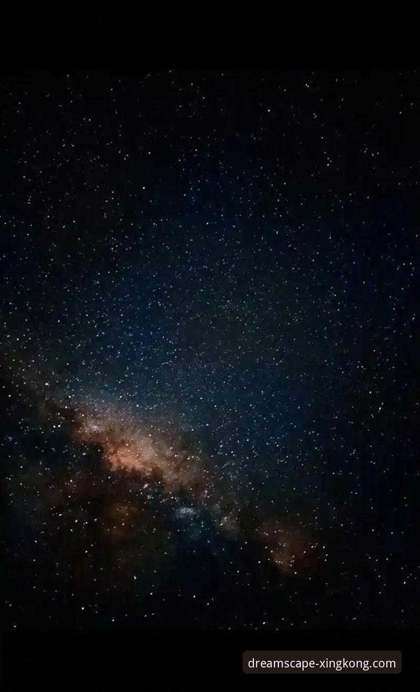 星空APP流畅体验 星空娱乐平台流畅体验深度剖析:从v2026.1.0版本看性能优化全貌